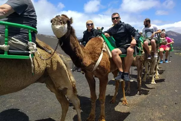 Excursion Lanzarote paseo en camello